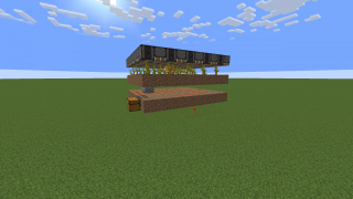 Melon or Pumpkin Farm
