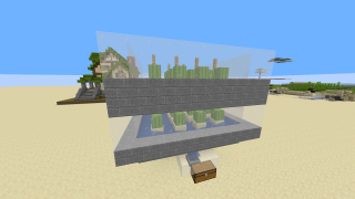 Cactus Farm