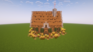 Medieval House