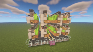 Sugarcane Farm