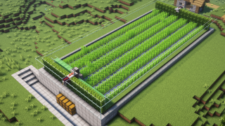 Sugarcane-Farm (automatic)