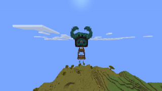 Warden ballon