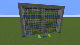 Sugarcane Farm