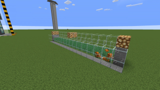 Berry Farm