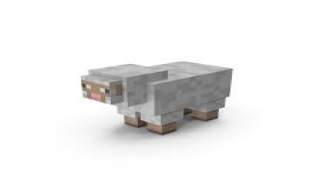 Sheep.