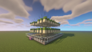 Cactus Farm