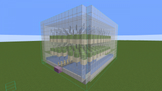 Cactus farm