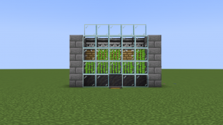 Sugar Cane Farm By Reyt God