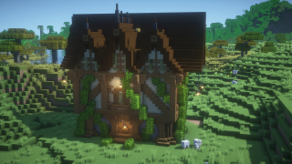 Simple Medieval House