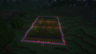 Crop Farm