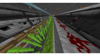 automatic sugarcane farm