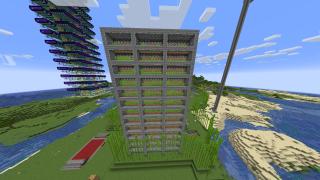 sugercane farm