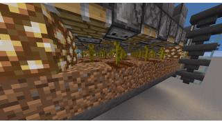 Pumpkin Farm
