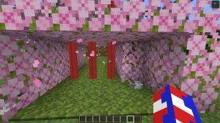 Laser door