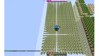 Cactus Farm 24K block