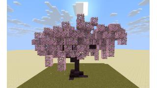 Cherry Tree 1