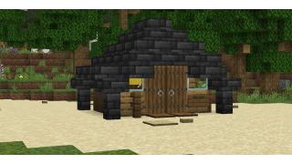 Mega base