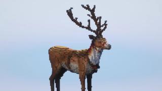 Christmas Reindeer