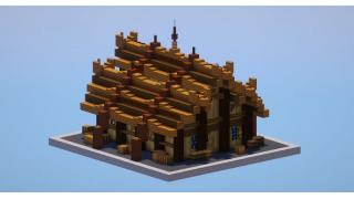 Viking Starter House