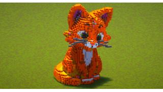Orange cat