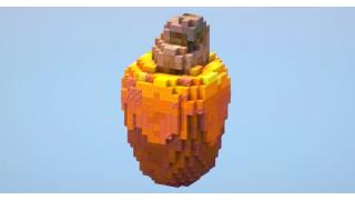 Cashew Fruit small