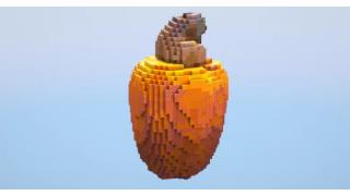 Cashew Fruit