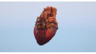 Human Heart Small