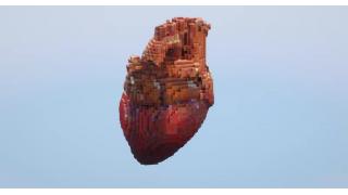 Human Heart