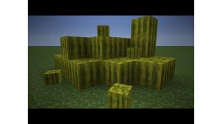 Melon Farm