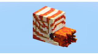 Nautilus