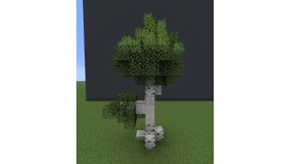 Birch tree pack