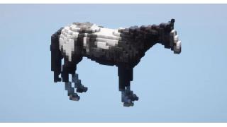 Black and White Horse Small
