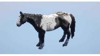 Black and White Horse