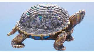 Tortoise