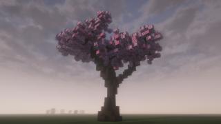 Big Cherry Tree