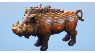 Boar