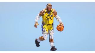 Lebron James Small