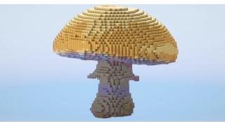 Mushroom