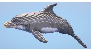 Dolphin