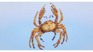 Crab