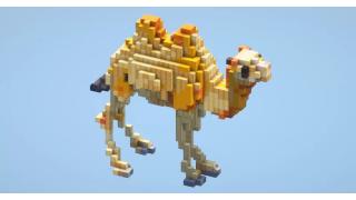 Camel small