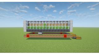 Sugar Cane Farm