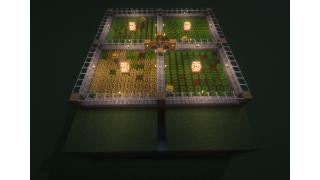 crop farm