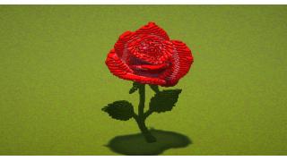 Red Rose