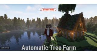 Tree Farm