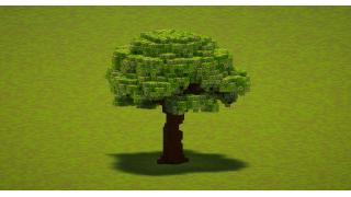Small Azalea Tree