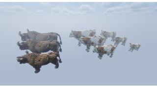 Cow Organic Pack