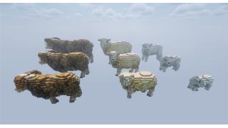 Sheep Organic Pack