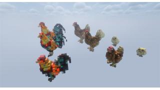 Chicken Organic Pack