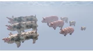 Pig Organic Pack